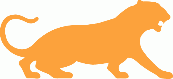 Princeton Tigers 1984-Pres Alternate Logo v2 diy iron on heat transfer